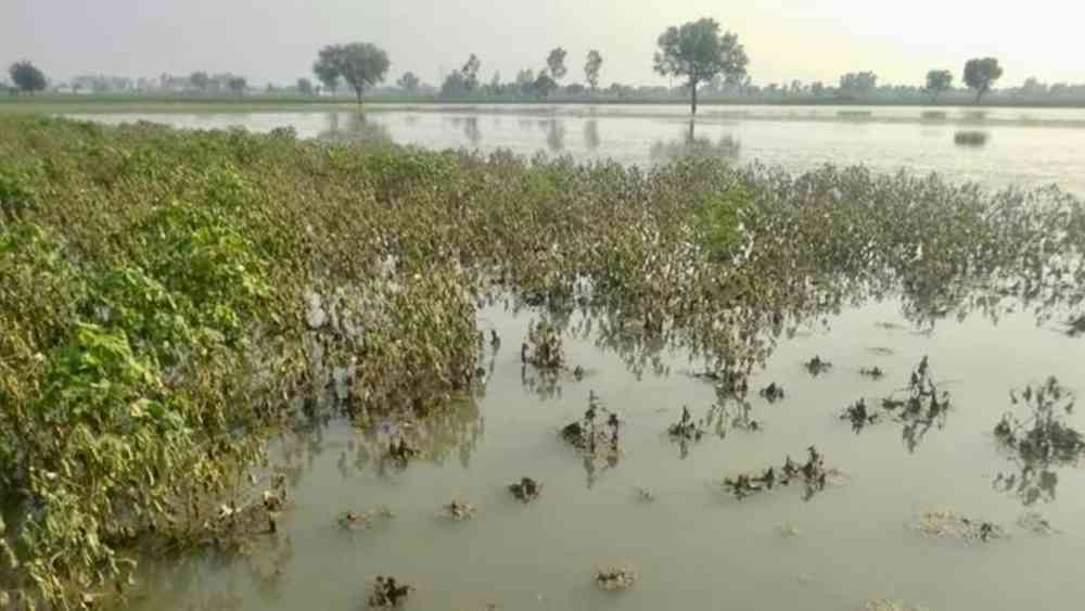 Maharashtra Rain Alert