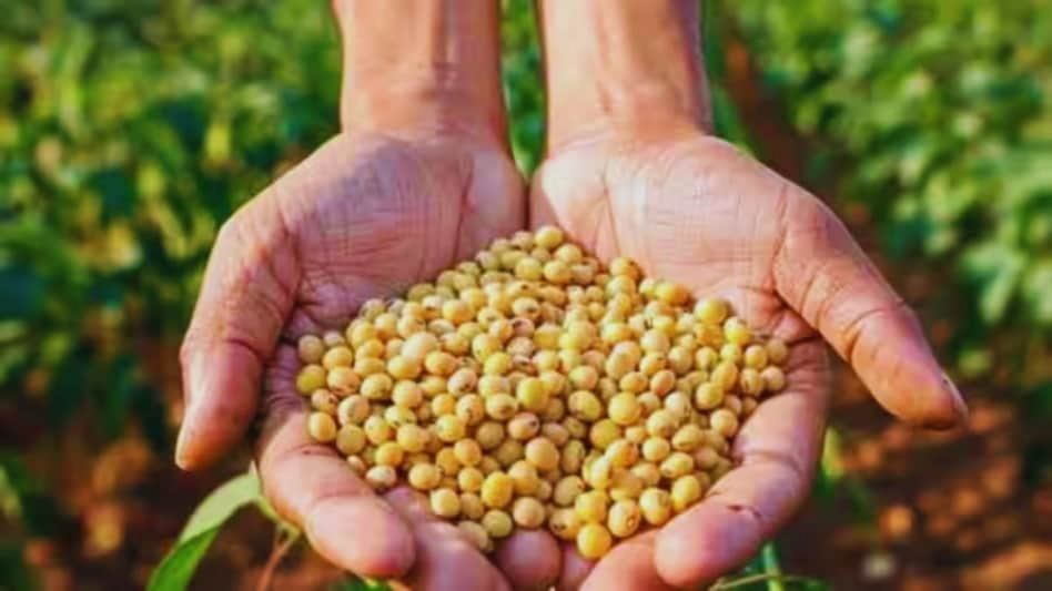 Soybean Bazar Bhav 2025