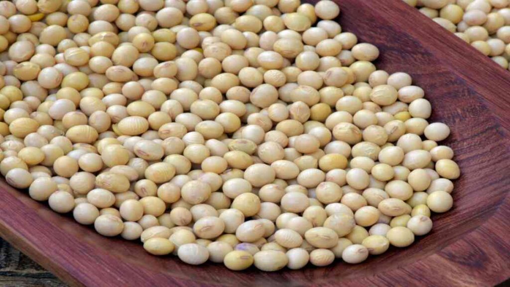 Soybean Bazar Bhav 2025