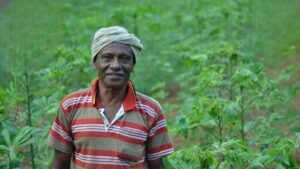 Namo Shetkari Yojana