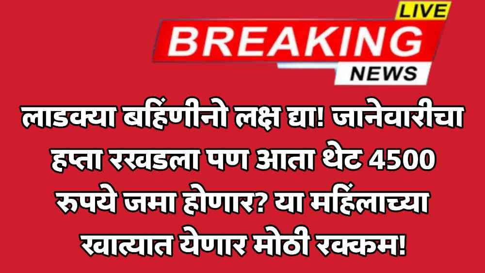 Ladki Bahin Yojana Status