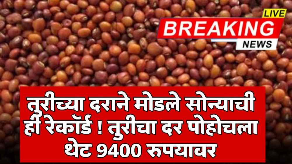 Tur Rate Today Maharashtra