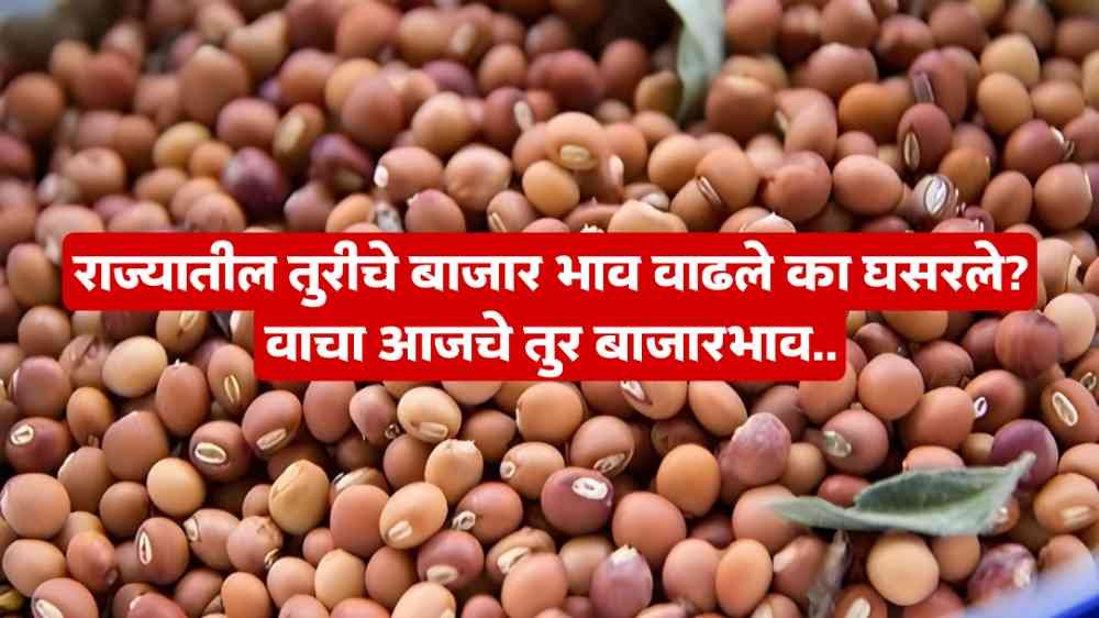 Tur Bajar Bhav
