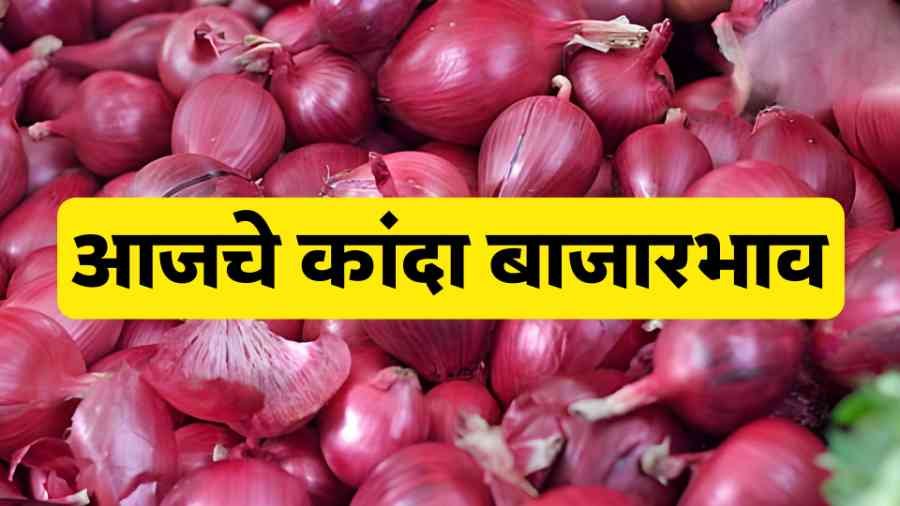 आजचे कांदा बाजारभाव 11 मार्च 2026