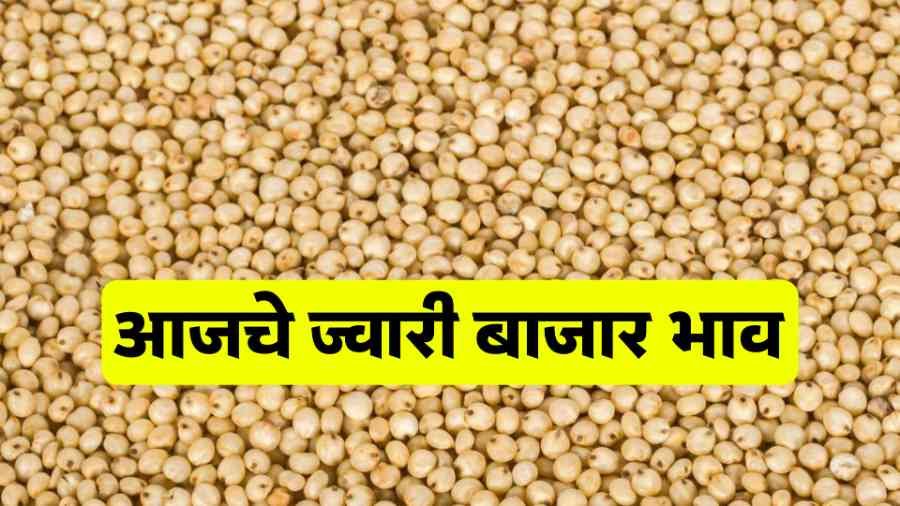 आजचे ज्वारी बाजार भाव