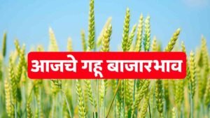 आजचे गहू बाजारभाव
