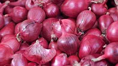 Aajche kanda bajar bhav