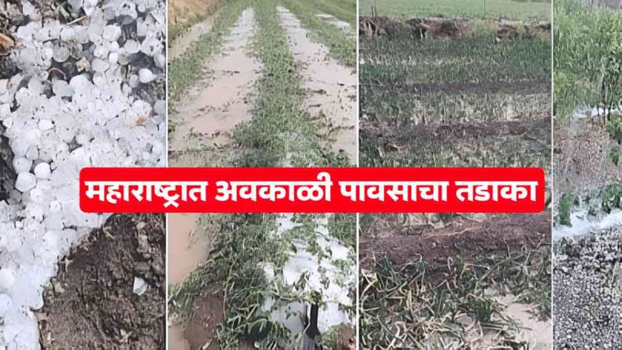 Maharashtra Weather Update