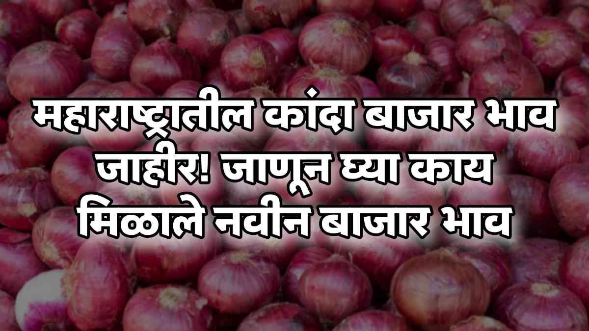 Aajche Kanda bajar bhav