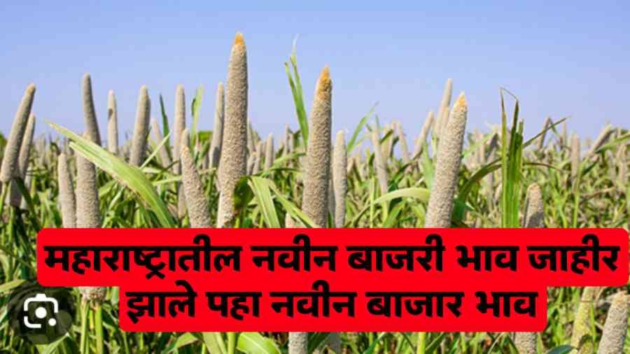 Aajche bajari bajar bhav