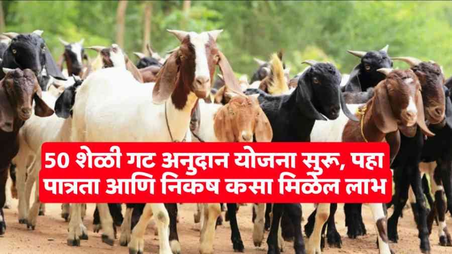 Sheli Gat anudan Yojana