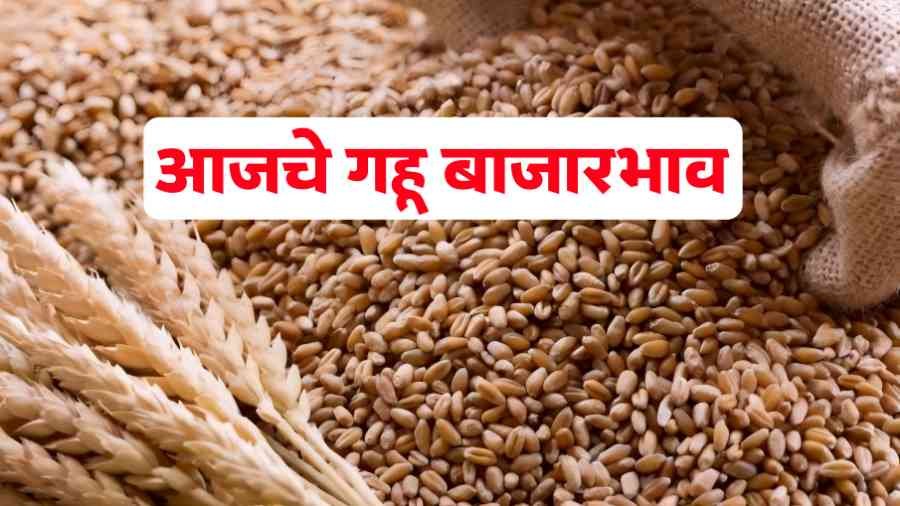 Aajche gahu bajar bhav