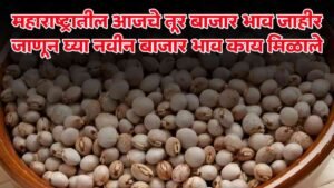 आजचे तूर बाजारभाव भाव