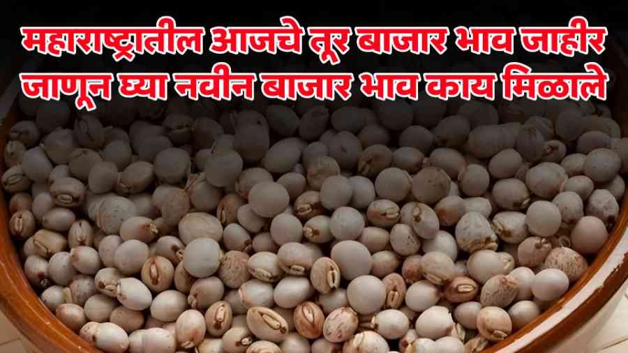 आजचे तूर बाजारभाव भाव