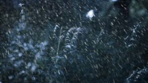 April 6 Weather Forecast