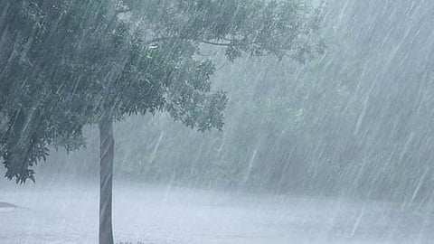 Maharashtra Latest Weather Forecast