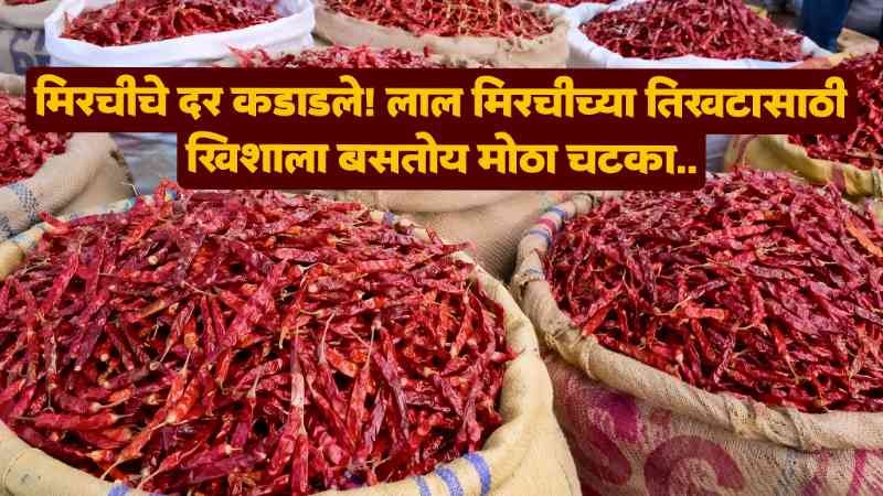 Lal Mirchi Market