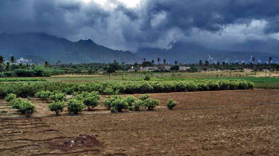 Maharashtra Monsoon Update 2026