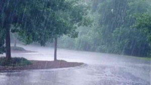 Maharashtra Weather Update : राज्यात मुसळधार पावसाचा इशारा! ‘या’ जिल्ह्यांना यलो अलर्ट; वादळी वाऱ्यासह मेघगर्जनेचा अंदाज