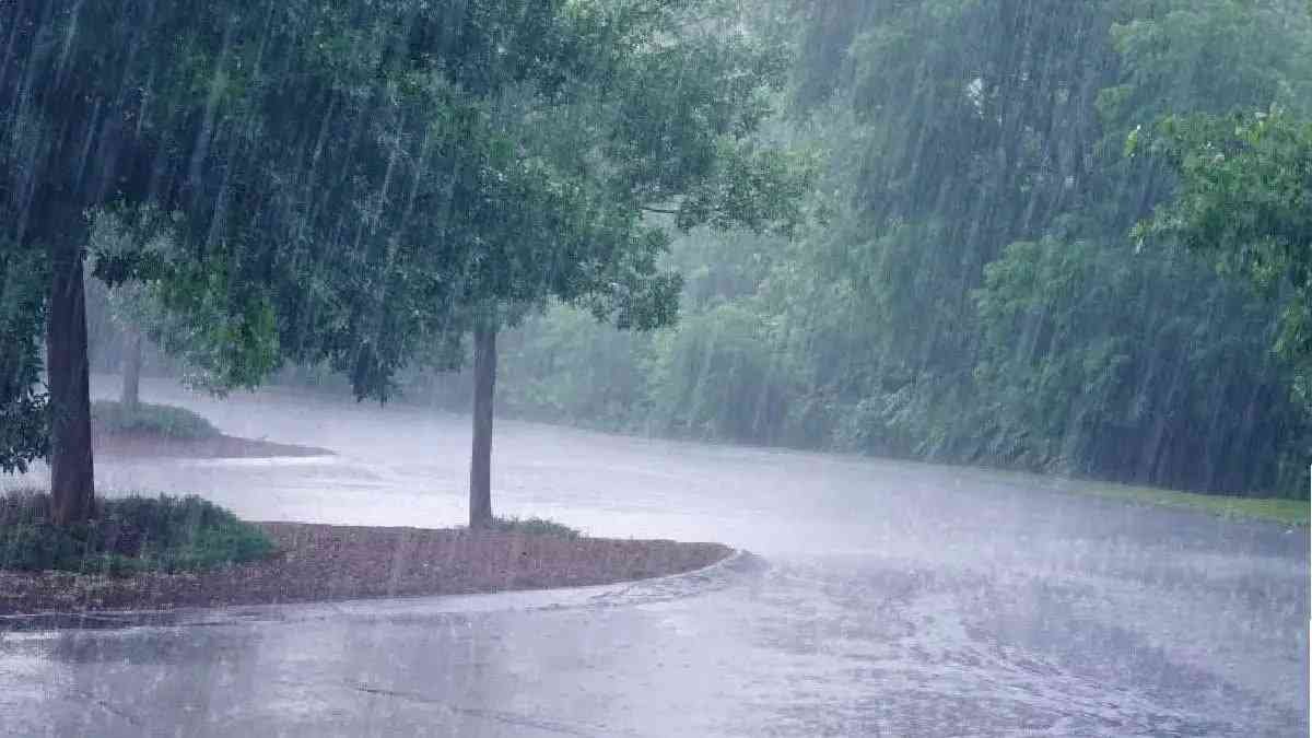 Maharashtra Weather Update : राज्यात मुसळधार पावसाचा इशारा! ‘या’ जिल्ह्यांना यलो अलर्ट; वादळी वाऱ्यासह मेघगर्जनेचा अंदाज