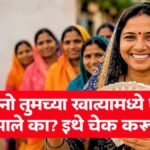 Maharashtra Ladki Bahin Beneficiaries May Receive Pending March-April Installments Together
